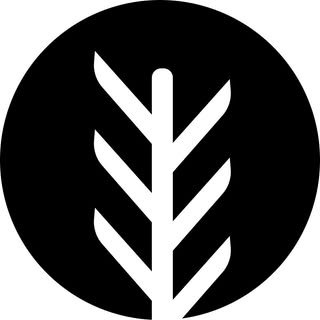 SociePRO AI
